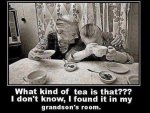 ImageUploadedByTapatalk1425433681.584916.jpg