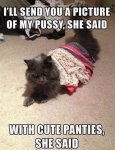 ImageUploadedByTapatalk1425850892.001594.jpg