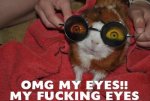 ImageUploadedByTapatalk1425851095.268557.jpg