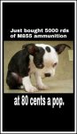 ImageUploadedByTapatalk1426042141.040105.jpg