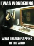 ImageUploadedByTapatalk1426124843.541860.jpg