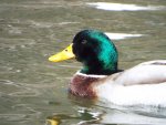 DSCF0617.jpg
