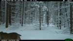 IMG_0040.jpg