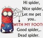 ImageUploadedByTapatalk1426344230.088482.jpg