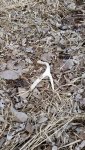 20150312_173516.jpg