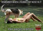ImageUploadedByTapatalk1426554315.257823.jpg