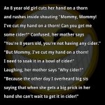 ImageUploadedByTapatalk1426635021.230589.jpg