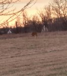IMG_20150316_235413.jpg
