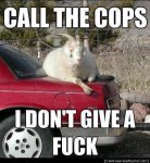 ImageUploadedByTapatalk1426807291.622013.jpg