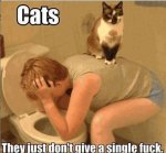 ImageUploadedByTapatalk1426807604.747878.jpg