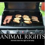 ImageUploadedByTapatalk1426942758.968798.jpg