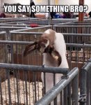 ImageUploadedByTapatalk1426943074.682752.jpg