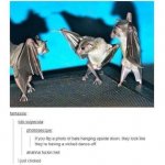 ImageUploadedByTapatalk1426943280.017141.jpg