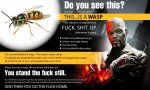 ImageUploadedByTapatalk1426943608.995131.jpg