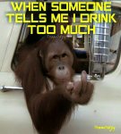 ImageUploadedByTapatalk1426943953.457749.jpg