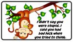 ImageUploadedByTapatalk1426995327.485819.jpg