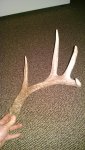 IMG_20150323_210932948.jpg