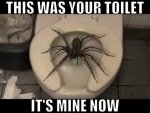 ImageUploadedByTapatalk1427242290.225921.jpg
