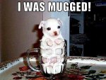 ImageUploadedByTapatalk1427242512.211708.jpg