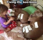 ImageUploadedByTapatalk1427242769.450023.jpg