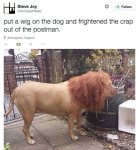 ImageUploadedByTapatalk1427415101.113857.jpg