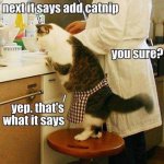 ImageUploadedByTapatalk1427415897.965127.jpg