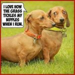 ImageUploadedByTapatalk1427664379.167363.jpg