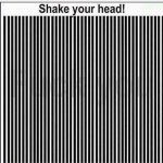 ImageUploadedByTapatalk1427664884.929111.jpg