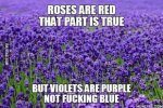 ImageUploadedByTapatalk1427761181.324214.jpg