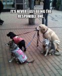 ImageUploadedByTapatalk1428109224.928288.jpg