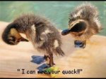 ImageUploadedByTapatalk1428201251.406722.jpg