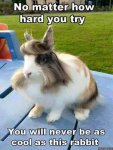 ImageUploadedByTapatalk1428201349.231714.jpg