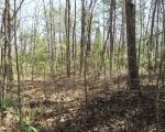 20150329_140313-1.jpg