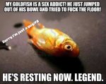 ImageUploadedByTapatalk1428539872.890369.jpg
