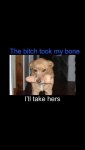 ImageUploadedByTapatalk1428540237.588175.jpg