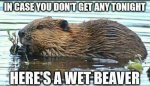 ImageUploadedByTapatalk1428546221.138591.jpg