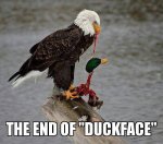 ImageUploadedByTapatalk1428546299.312255.jpg