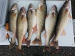 4-9-15.jpg