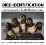 ImageUploadedByTapatalk1428882634.424251.jpg