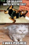 ImageUploadedByTapatalk1429483495.575762.jpg