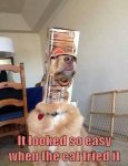 ImageUploadedByTapatalk1429483512.175638.jpg