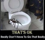 ImageUploadedByTapatalk1429483529.978296.jpg