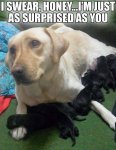 ImageUploadedByTapatalk1429483547.929347.jpg