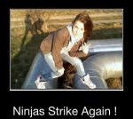 ImageUploadedByTapatalk1429483921.844285.jpg