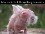 ImageUploadedByTapatalk1429484274.093217.jpg