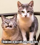ImageUploadedByTapatalk1429485649.224574.jpg