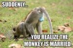 ImageUploadedByTapatalk1429485795.551736.jpg