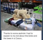 ImageUploadedByTapatalk1429485842.106483.jpg
