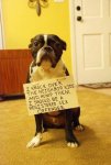 ImageUploadedByTapatalk1429485893.377939.jpg