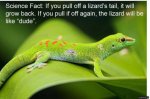 ImageUploadedByTapatalk1429487506.931007.jpg